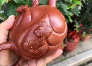 《魚化龍套組》