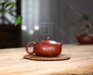 《扁乳西施鳥趣》