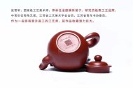 《疾風》宜興紫砂壺全手工茶壺大紅袍
