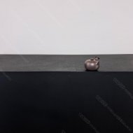 側(cè)把小唐羽