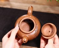 《掇球經霜傲雪灑金》