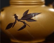 《雙色清風竹》